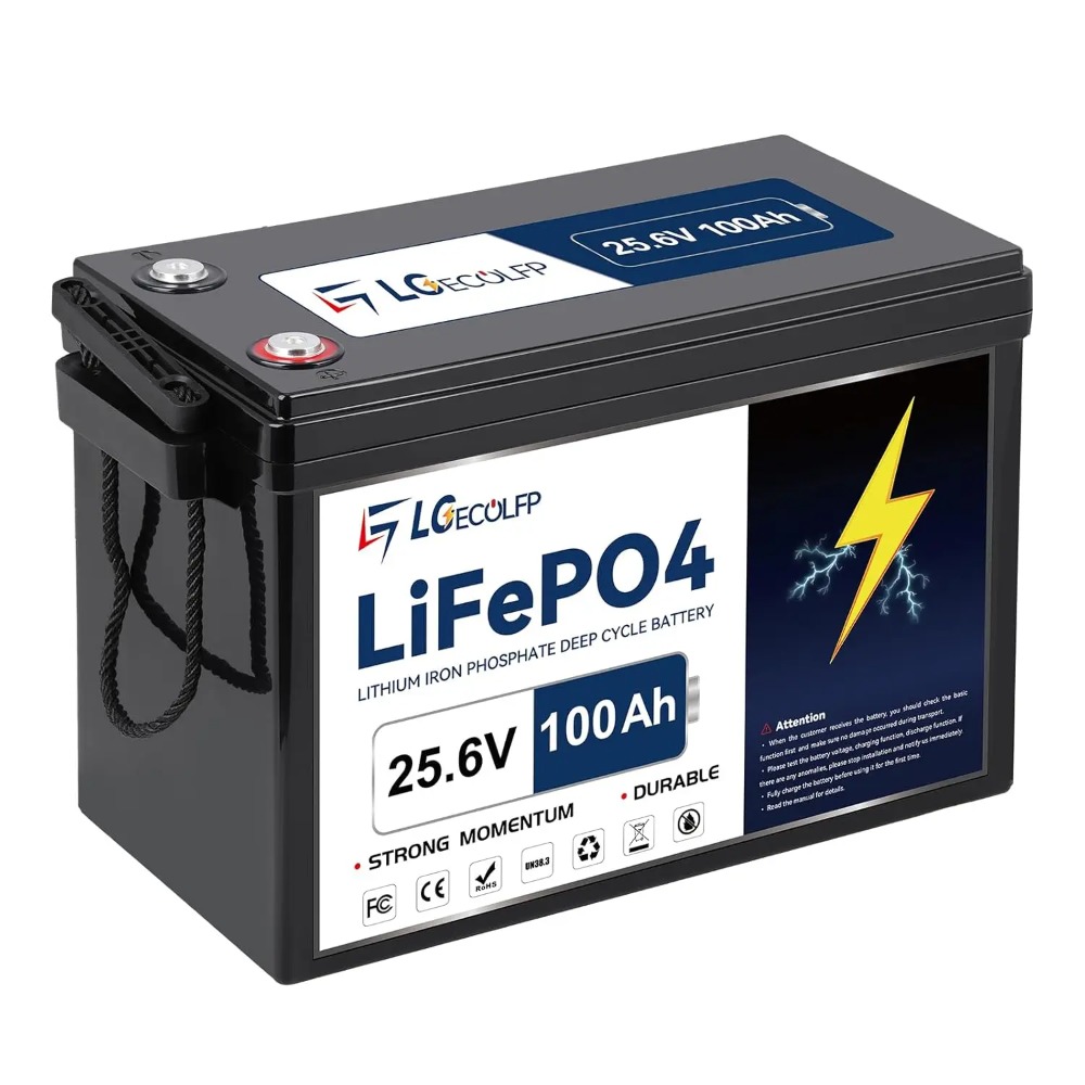 Lithium Battery 100Ah - 24V 100Ah LiFePO4 Lithium Battery,Built-in 100A