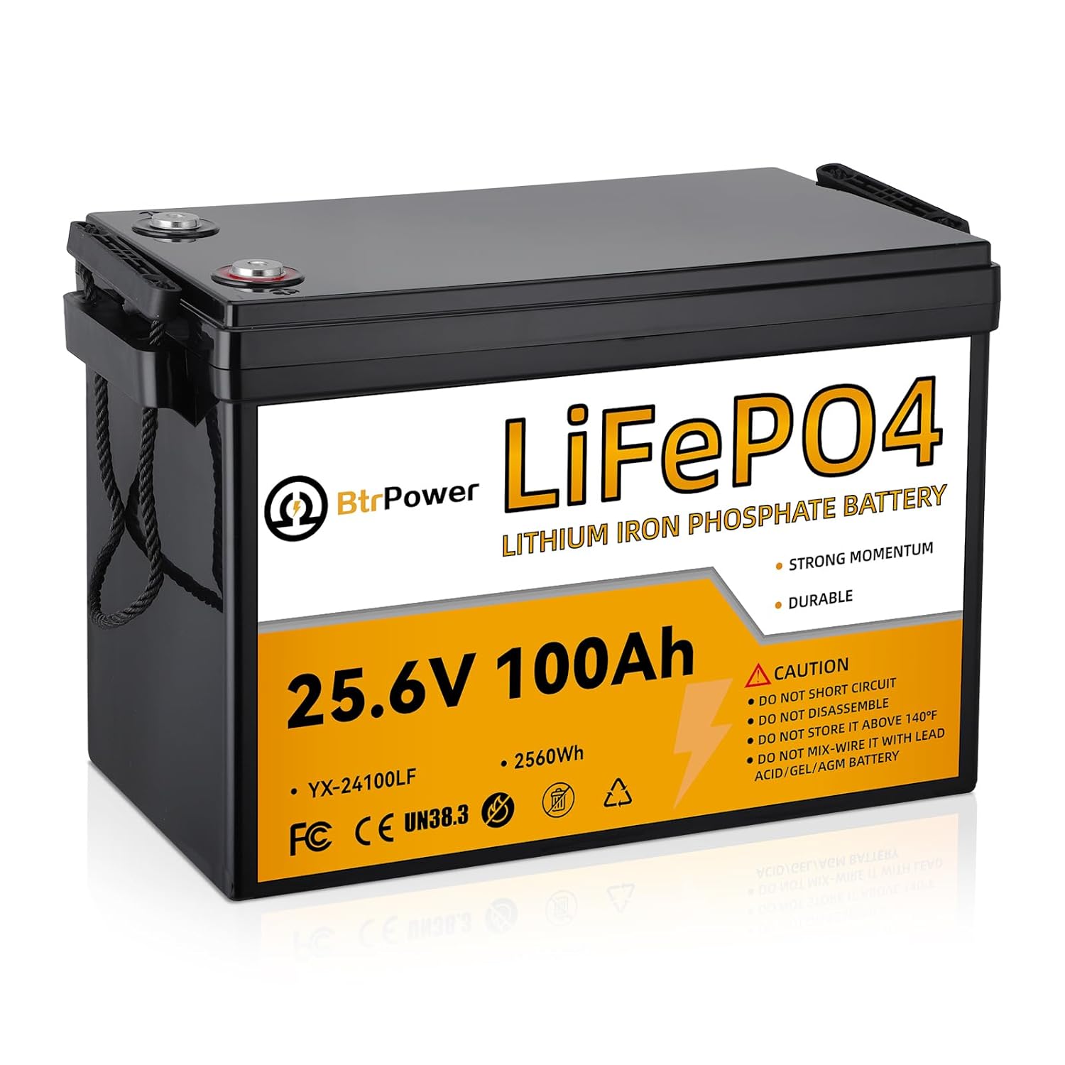 Lithium Battery 100Ah - 24V 100Ah Lithium LiFePO4 Battery,8000+ Deep