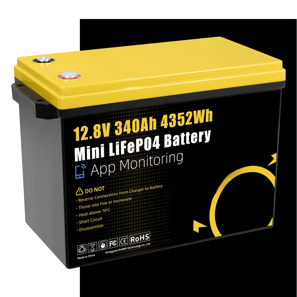GoKWh Marine 12v Lifepo4 Lithi - Lithium Battery 100Ah review and price