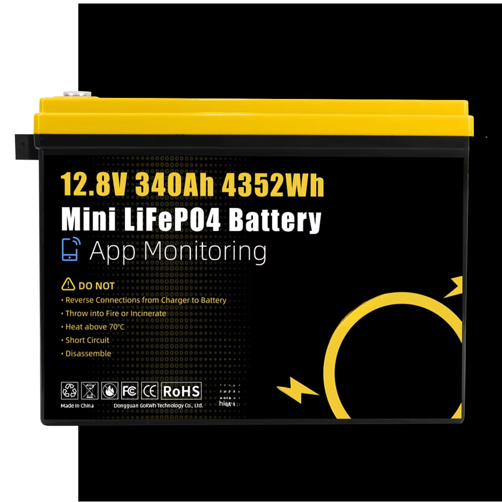 GoKWh Marine 12v Lifepo4 Lithi - Lithium Battery 100Ah review and price