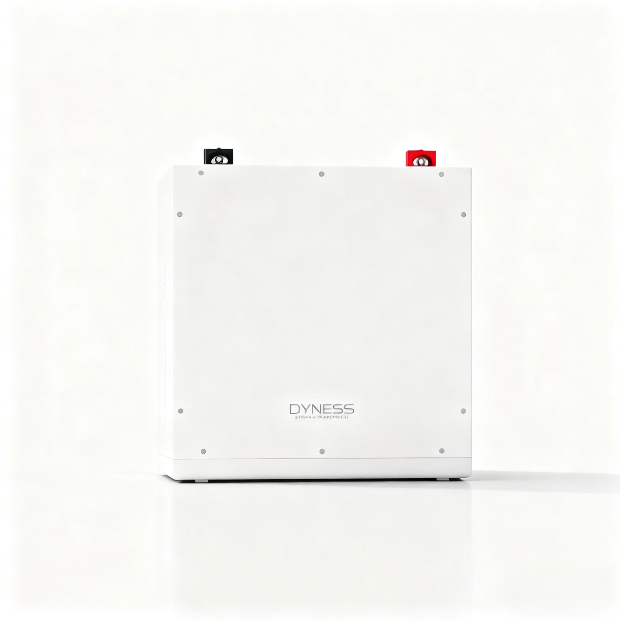 Dyness DL5.0C 1C Lithium Ion B - Lithium Battery 100Ah review and price