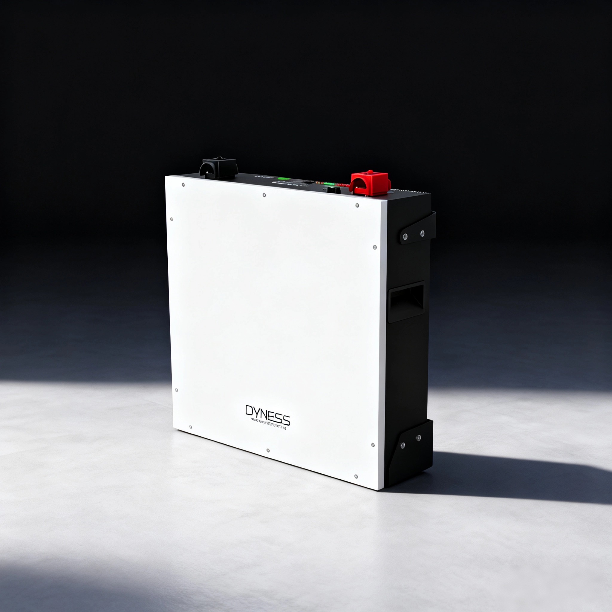 Dyness DL5.0C 1C Lithium Ion B - Lithium Battery 100Ah review and price