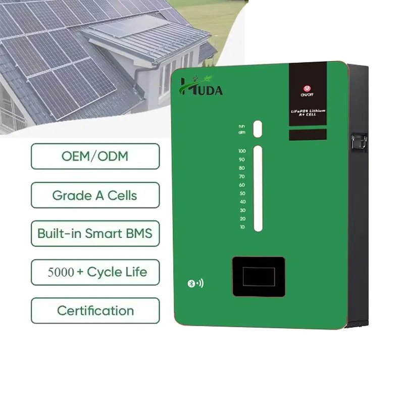 High Capacity 5kWh LiFePO4 Lit - Lithium Battery 100Ah review and price